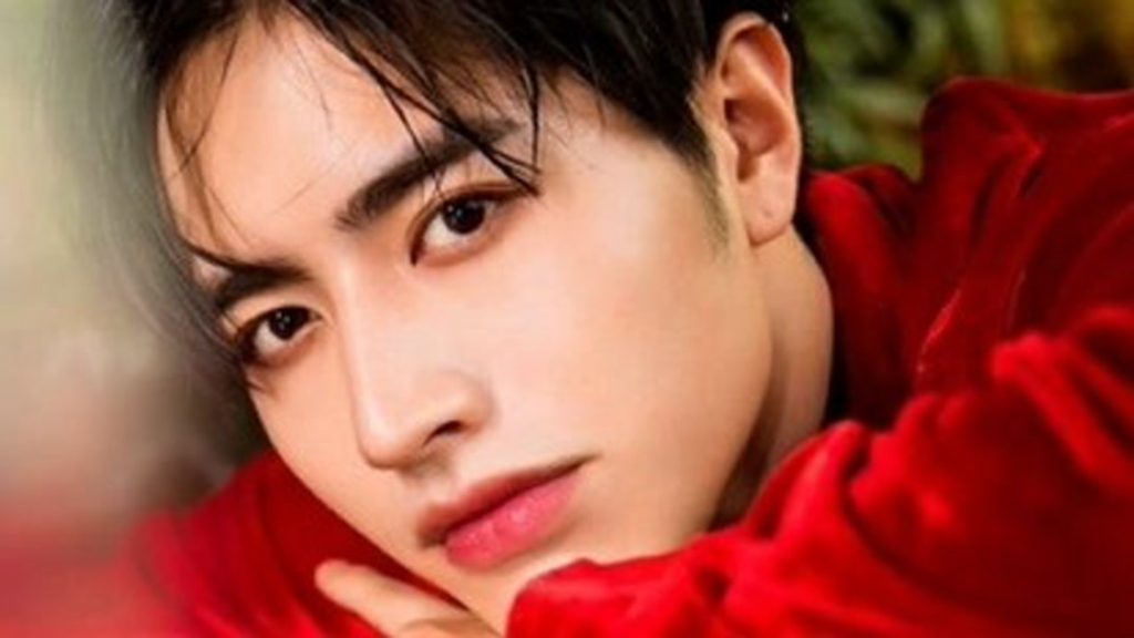Luo Zheng Plastic Surgery and Body Measurements