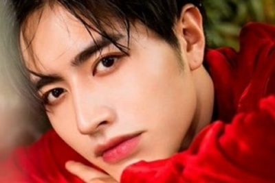 Luo Zheng Plastic Surgery and Body Measurements