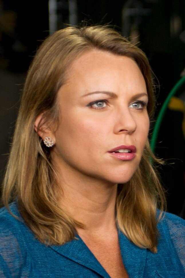 Lara Logan Plastic Surgery Face