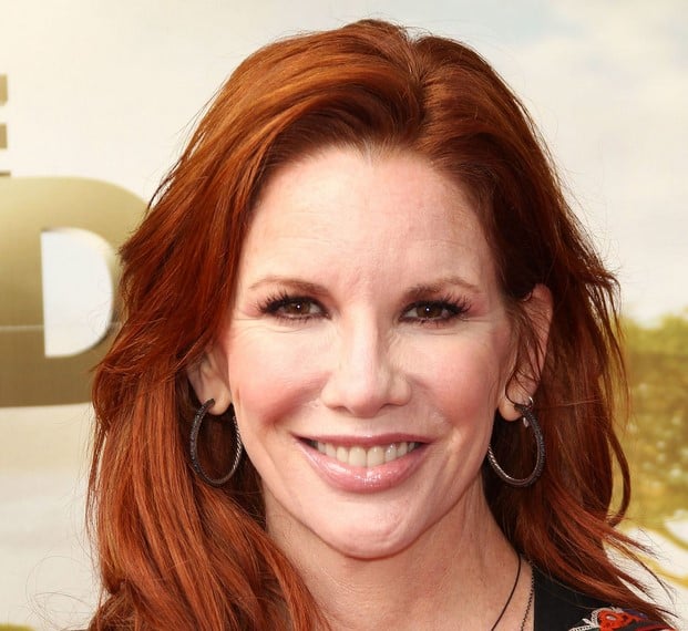 Melissa Gilbert Nose Job